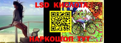 шишки Лесосибирск