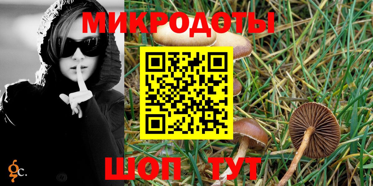 Галлюциногенные грибы прущие грибы Донской